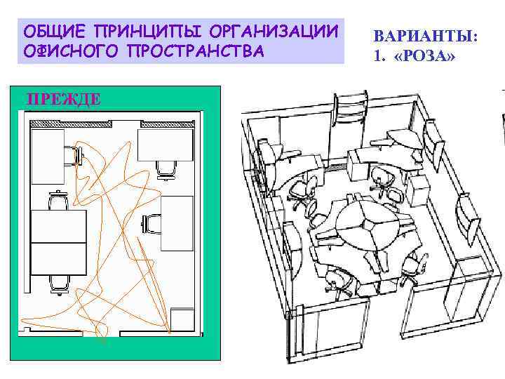 ОБЩИЕ ПРИНЦИПЫ ОРГАНИЗАЦИИ ОФИСНОГО ПРОСТРАНСТВА ПРЕЖДЕ ВАРИАНТЫ: 1. «РОЗА» 