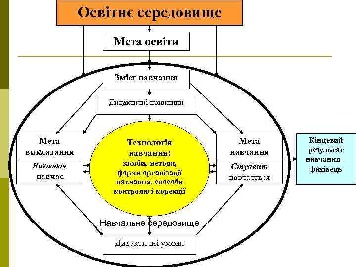Освітнє середовище Мета освіти Зміст навчання Дидактичні принципи Мета викладання Технологія навчання: Мета навчання
