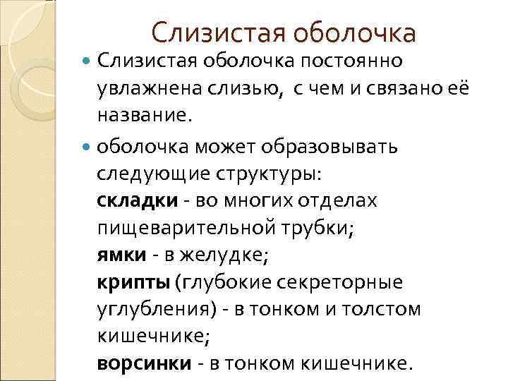 Слизистая оболочка постоянно увлажнена слизью, с чем и связано её название. оболочка может образовывать