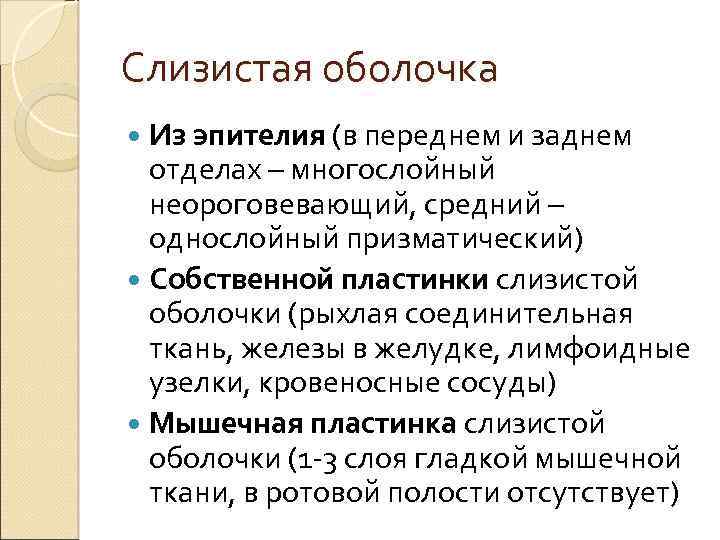 Слизистая оболочка Из эпителия (в переднем и заднем отделах – многослойный неороговевающий, средний –