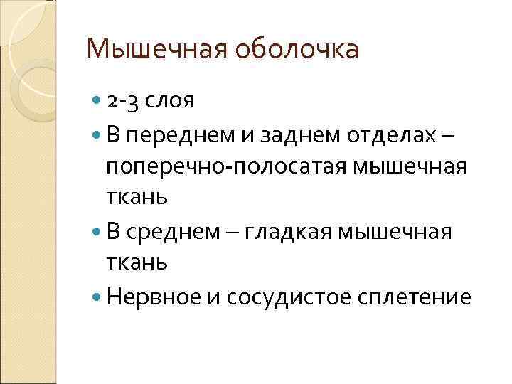 Мышечная оболочка 2 -3 слоя В переднем и заднем отделах – поперечно-полосатая мышечная ткань