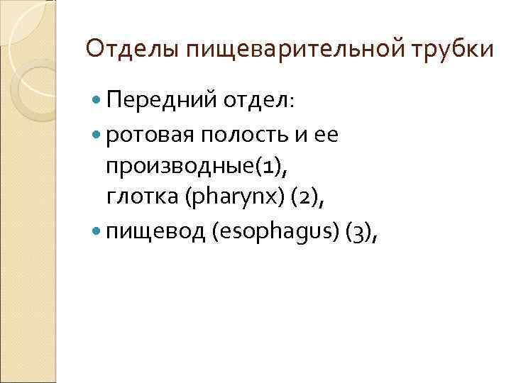 Отделы пищеварительной трубки Передний отдел: ротовая полость и ее производные(1), глотка (pharynx) (2), пищевод