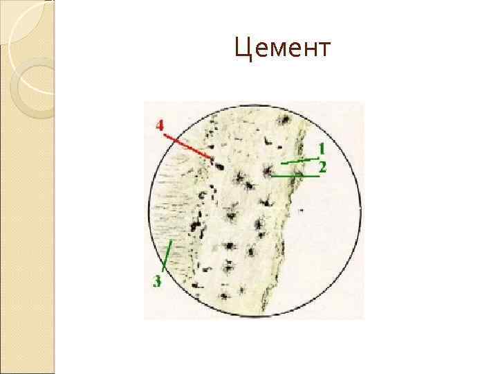 Цемент 