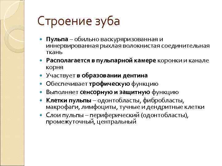 Строение зуба Пульпа – обильно васкуряризованная и иннервированная рыхлая волокнистая соединительная ткань Располагается в