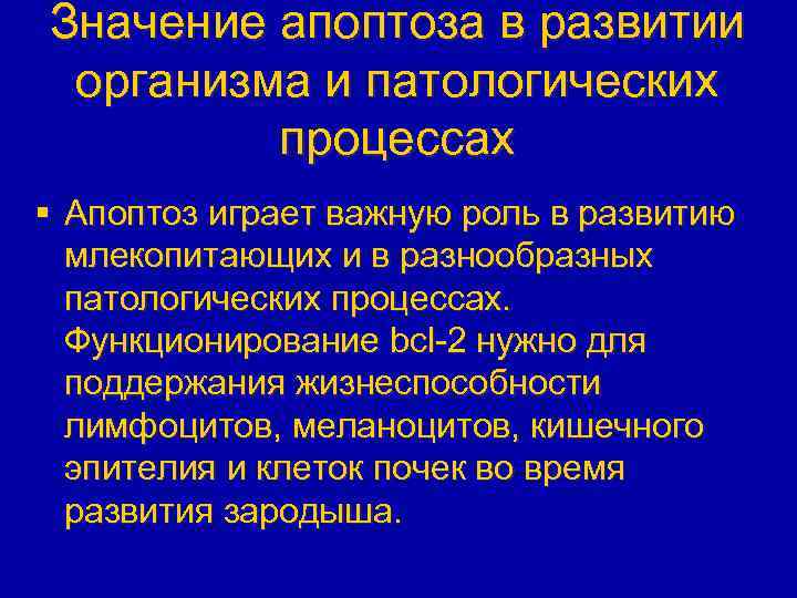 Значение апоптоза в развитии организма и патологических процессах § Апоптоз играет важную роль в