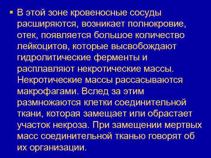§ В этой зоне кровеносные сосуды расширяются, возникает полнокровие, отек, появляется большое количество лейкоцитов,