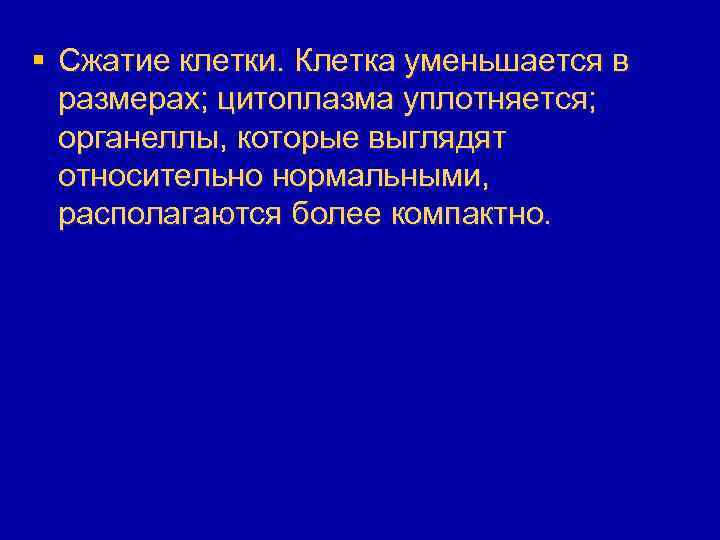 § Сжатие клетки. Клетка уменьшается в размерах; цитоплазма уплотняется; органеллы, которые выглядят относительно нормальными,