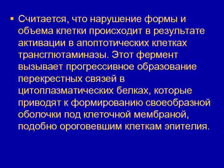 § Считается, что нарушение формы и объема клетки происходит в результате активации в апоптотических