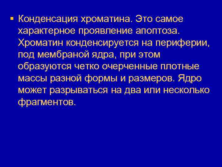 § Конденсация хроматина. Это самое характерное проявление апоптоза. Хроматин конденсируется на периферии, под мембраной