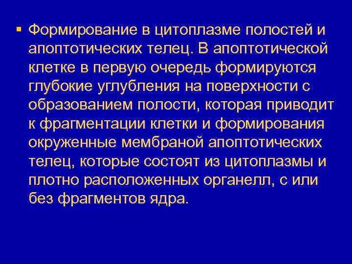 § Формирование в цитоплазме полостей и апоптотических телец. В апоптотической клетке в первую очередь