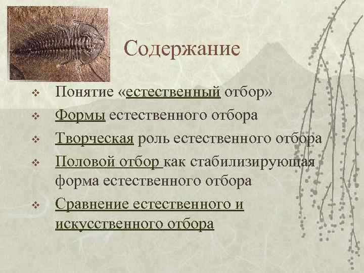 Содержание v v v Понятие «естественный отбор» Формы естественного отбора Творческая роль естественного отбора