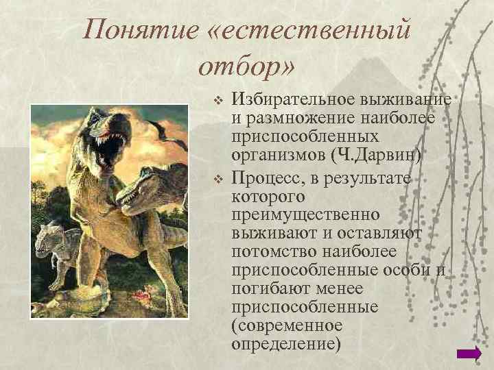 Понятие «естественный отбор» v v Избирательное выживание и размножение наиболее приспособленных организмов (Ч. Дарвин)
