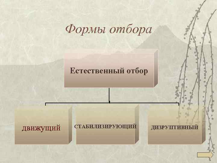 Формы отбора Естественный отбор движущий СТАБИЛИЗИРУЮЩИЙ ДИЗРУПТИВНЫЙ 