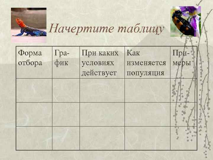 Начертите таблицу Форма отбора График При каких Как Приусловиях изменяется меры действует популяция 