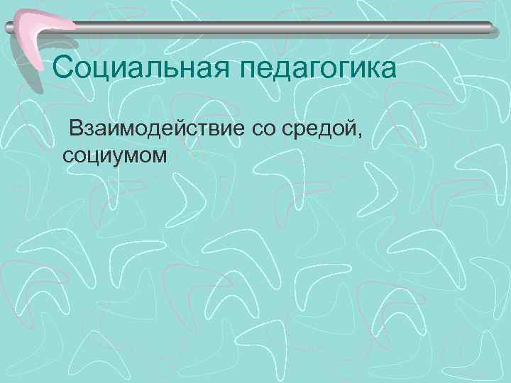 Социальная педагогика Взаимодействие со средой, социумом 