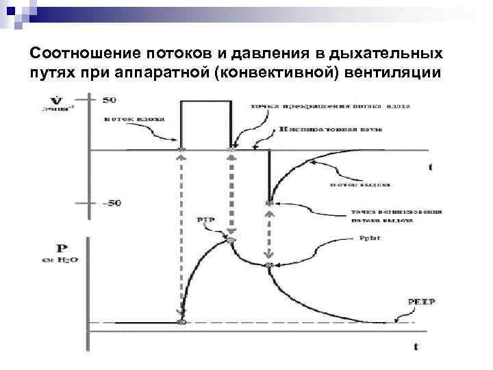 Соотношение потоков и давления в дыхательных путях при аппаратной (конвективной) вентиляции 