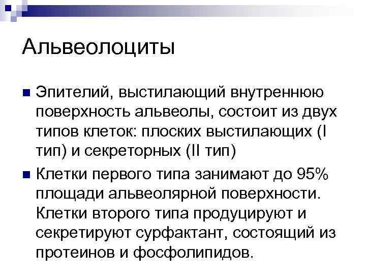 Альвеолоциты Эпителий, выстилающий внутреннюю поверхность альвеолы, состоит из двух типов клеток: плоских выстилающих (I