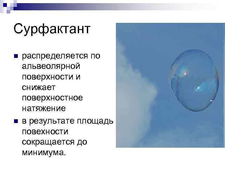 Сурфактант n n распределяется по альвеолярной поверхности и снижает поверхностное натяжение в результате площадь