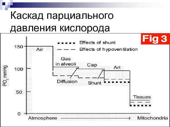 Каскад парциального давления кислорода 