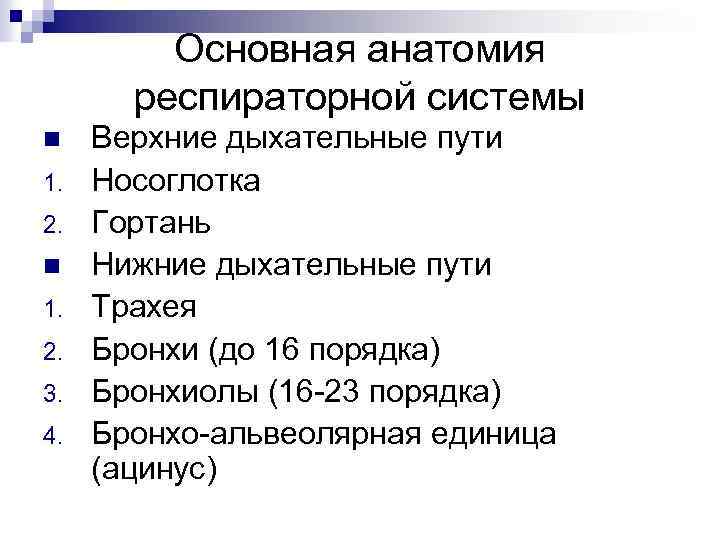 Основная анатомия респираторной системы n 1. 2. 3. 4. Верхние дыхательные пути Носоглотка Гортань