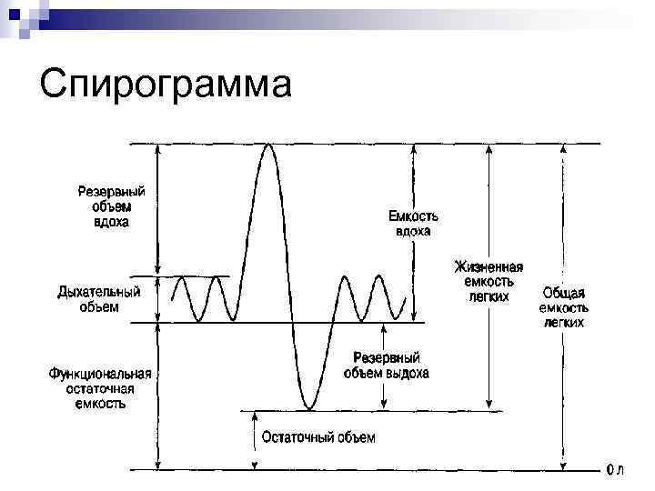Спирограмма 