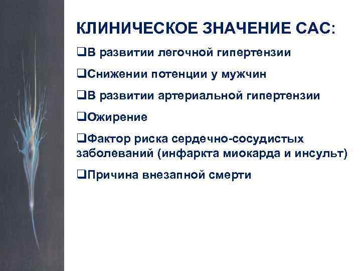 КЛИНИЧЕСКОЕ ЗНАЧЕНИЕ САС: q. В развитии легочной гипертензии q. Снижении потенции у мужчин q.