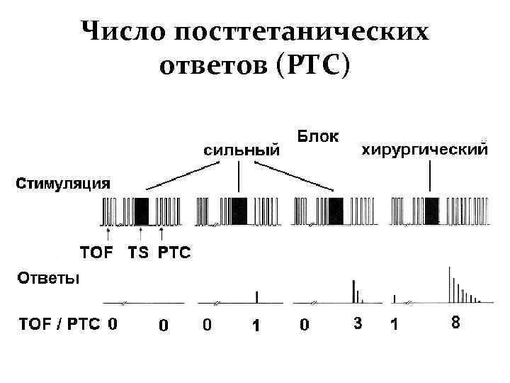 Число посттетанических ответов (РТС) 