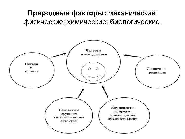 Природные факторы: механические; физические; химические; биологические. 