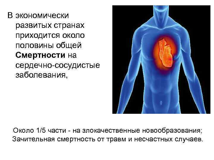 В экономически развитых странах приходится около половины общей Смертности на сердечно-сосудистые заболевания, Около 1/5