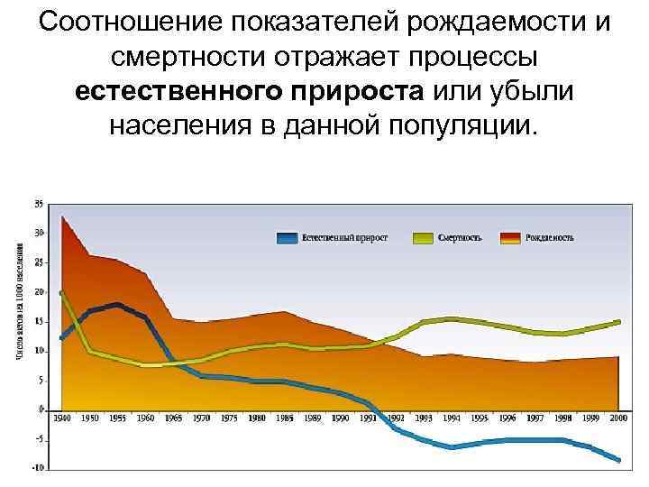 Соотношение показателей рождаемости и смертности отражает процессы естественного прироста или убыли населения в данной
