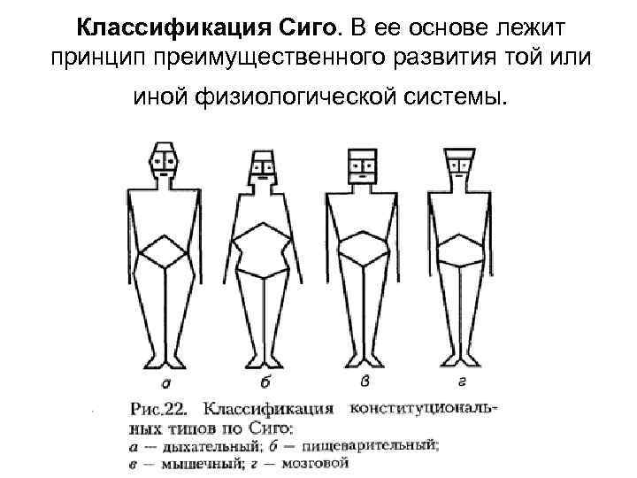 Возможна ли разработка единой конституциональной схемы для детей подростков мужчин и женщин