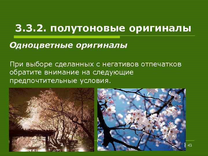 3. 3. 2. полутоновые оригиналы Одноцветные оригиналы При выборе сделанных с негативов отпечатков обратите