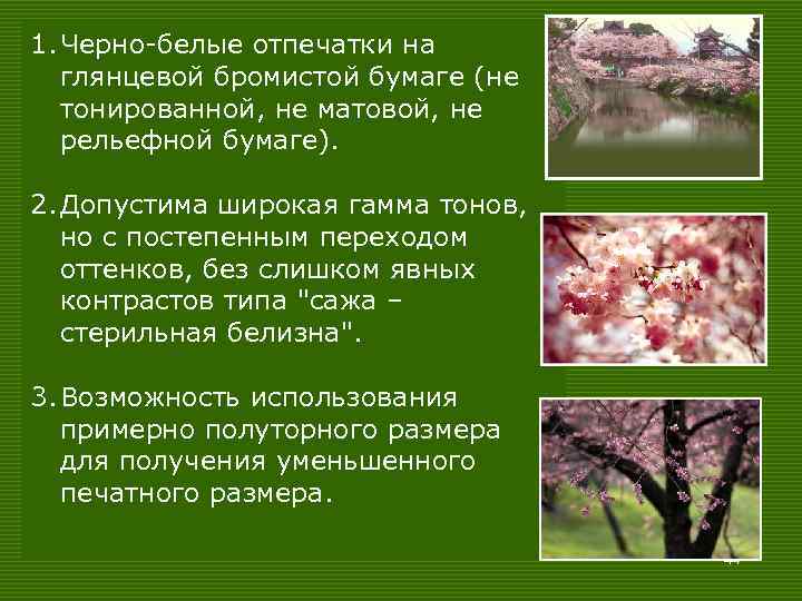 1. Черно-белые отпечатки на глянцевой бромистой бумаге (не тонированной, не матовой, не рельефной бумаге).