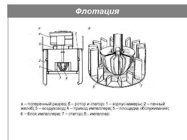 Флотация а – поперечный разрез; б – ротор и статор: 1 – корпус камеры;