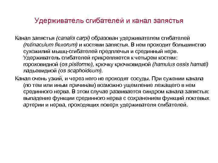 Удерживатель сгибателей и канал запястья Канал запястья (canalis carpi) образован удерживателем сгибателей (retinaculum flexorum)