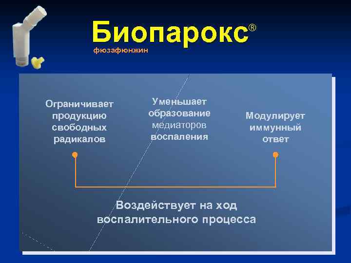  Биопарокс фюзафюнжин ® Ограничивает Уменьшает продукцию образование Модулирует свободных медиаторов иммунный радикалов воспаления