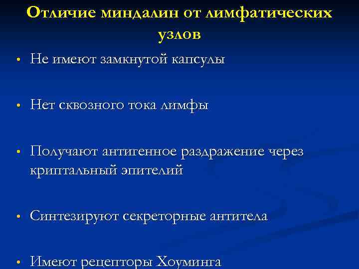  Отличие миндалин от лимфатических узлов • Не имеют замкнутой капсулы • Нет сквозного