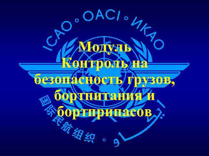 Модуль Контроль на безопасность грузов, бортпитания и бортприпасов 
