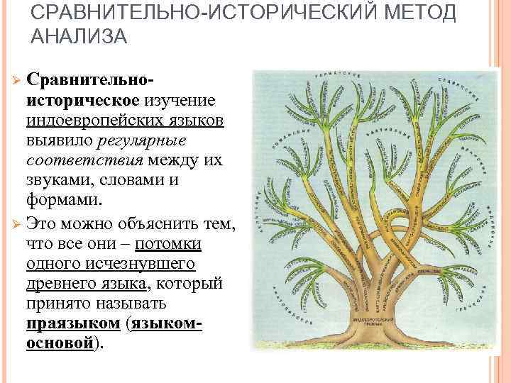 СРАВНИТЕЛЬНО-ИСТОРИЧЕСКИЙ МЕТОД АНАЛИЗА Сравнительноисторическое изучение индоевропейских языков выявило регулярные соответствия между их звуками, словами