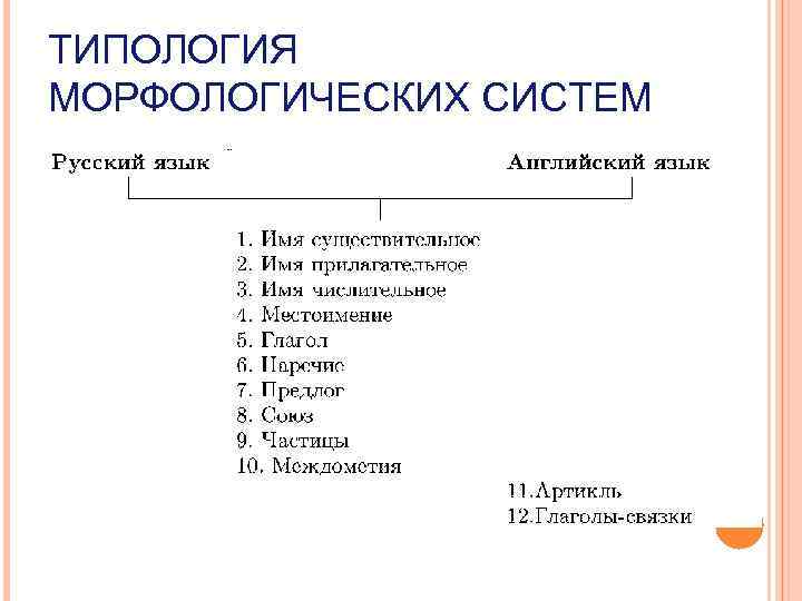 ТИПОЛОГИЯ МОРФОЛОГИЧЕСКИХ СИСТЕМ 