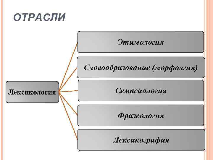 ОТРАСЛИ Этимология Словообразование (морфолгия) Лексикология Семасиология Фразеология Лексикография 