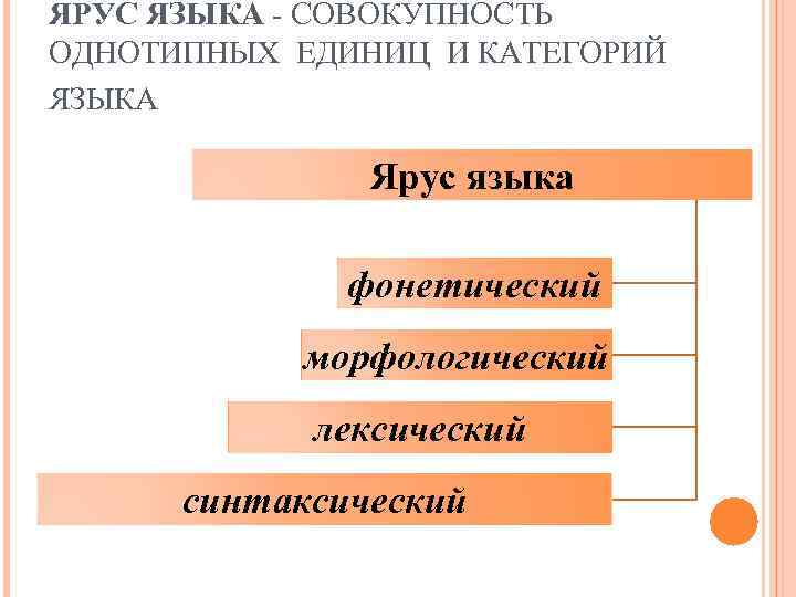 ЯРУС ЯЗЫКА - СОВОКУПНОСТЬ ОДНОТИПНЫХ ЕДИНИЦ И КАТЕГОРИЙ ЯЗЫКА Ярус языка фонетический морфологический лексический