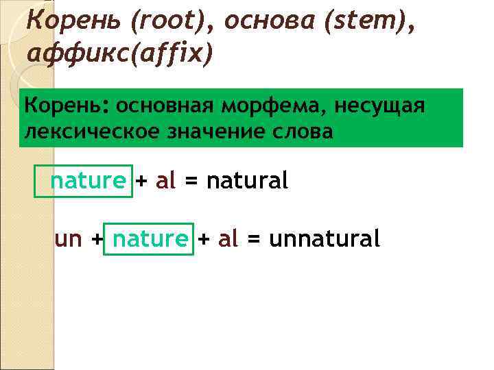 Корень (root), основа (stem), аффикс(affix) Корень: основная морфема, несущая лексическое значение слова nature +