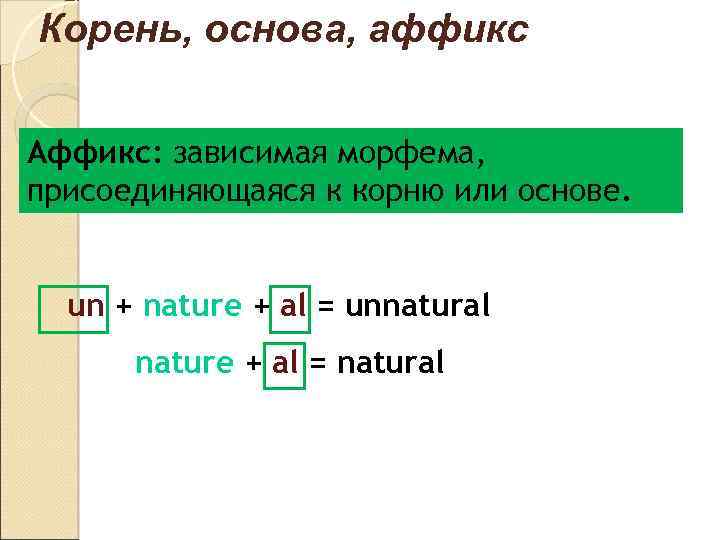Корень, основа, аффикс Аффикс: зависимая морфема, присоединяющаяся к корню или основе. un + nature