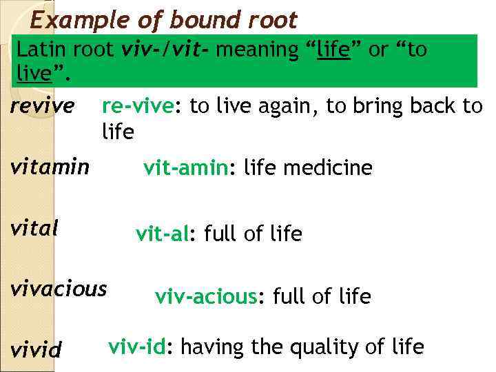 Example of bound root Latin root viv-/vit- meaning “life” or “to live”. revive re-vive: