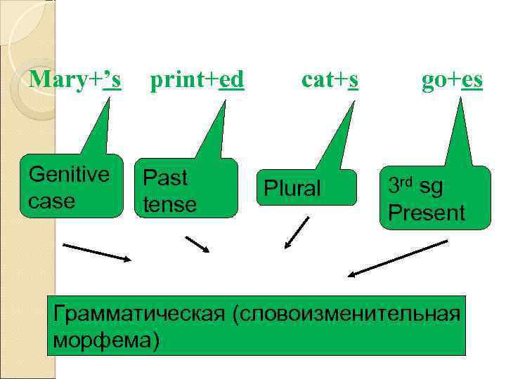 Mary+’s Genitive case print+ed Past tense cat+s Plural go+es 3 rd sg Present Грамматическая