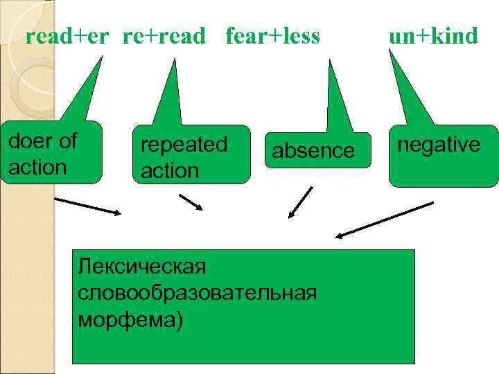 read+er re+read fear+less doer of action repeated action absence Лексическая словообразовательная морфема) un+kind negative