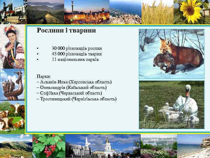 Рослини і тварини • • • 30 000 різновидів рослин 45 000 різновидів тварин