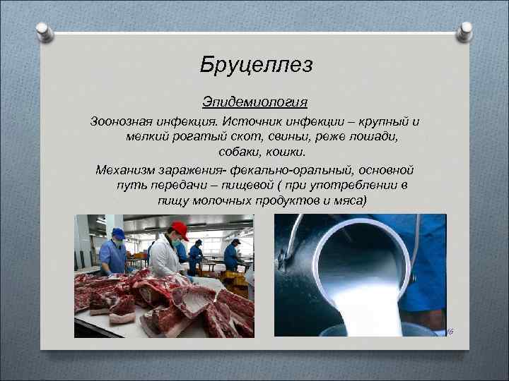 Бруцеллез Эпидемиология Зоонозная инфекция. Источник инфекции – крупный и мелкий рогатый скот, свиньи, реже