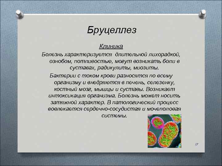 Бруцеллез Клиника Болезнь характеризуется длительной лихорадкой, ознобом, потливостью, могут возникать боли в суставах, радикулиты,